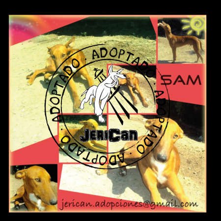 SAM