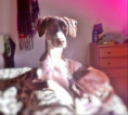 /album/fotogaleria-sola/a1622590-587787744634017-35629699-n-png/