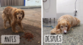 /album/fotogaleria-ron/fotos-titulos-1-png/
